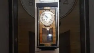 Champion pendulum gori