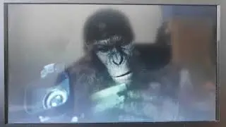 Dawn Of The Planet Of The Apes - Caesar's childhood - James Franco cameo