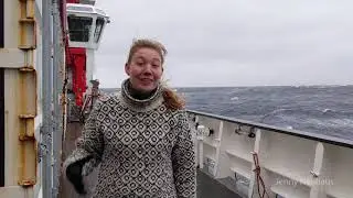 Creating the ocean we want