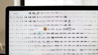 A.I. Experiments: Bird Sounds