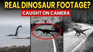 Mysterious Dinosaur Videos Caught on Camera (Real or Fake?)
