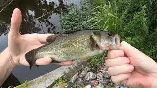 Cane Pole Fishing With Artificals at a New Roadside Creek And Had Some Technical Difficulties