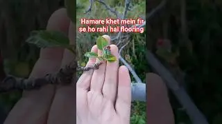 ye kya hogya😨 #cover #music #appletypes#himachal  #shorts #trendingnow #struggle #ocean#coversong