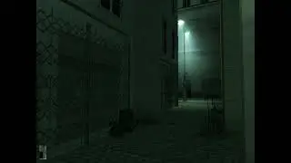 ambience asmr Hitman Contracts maullaciones gatunales in the night