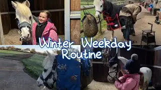 Winter pony routine
