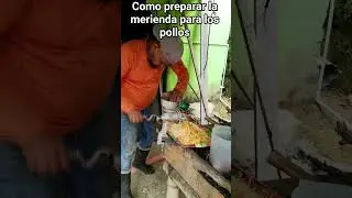 Como preparar la merienda para los #pollos #finca