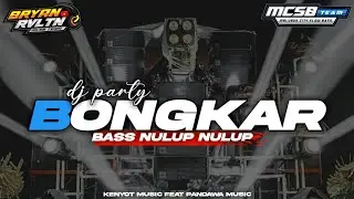 DJ PARTY BONGKAR STYLE NULUP NULUP  || BRYAN REVOLUTION
