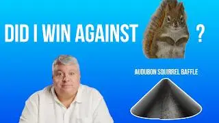Can I beat my squirrels with the Audubon Wrap Around Squirrel Baffle?