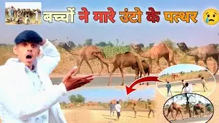 Itne Sare Ek Sath Unt || Village Life Vlogs 😍||