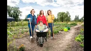 Ninove opent z'n volkstuintjes