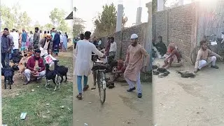 🌍 Global LOL Ignition 2026 🤣 Epic Funny Compilation | Rasel Vai official 