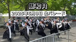 魅和月 第34回YOSAKOIソーラン祭り 北パレード 2025年6月8日