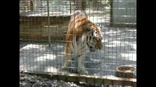 EARS - Trip to Endangered Animal Rescue Sanctuary