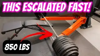 Will this bench hold 800lbs?  Flybird bench review.