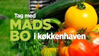 Tag med Mads Bo en tur i k&oslash;kkehaven og f&aring; ny juiceopskrift, Danish Dynamite til din slowjuicer