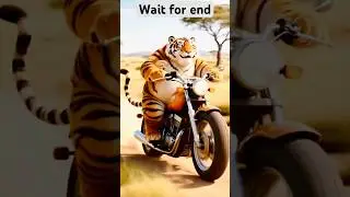 Ai cat #cat #animals #ai #cute #cartoon
