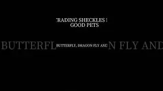 TRADING SHECKLES FOR GOOD PETS LIKE MIMIC BUTTERFLY AND DIVINE PETS