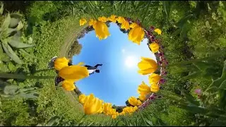 Insuta360 X3「チューリップ」乱舞2