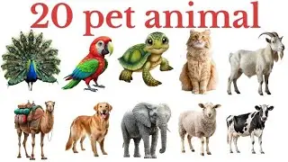 पालतू जानवरों के नाम | 20 Pet Animals Name in Hindi & English | Kids Learning Video #kidslearning 