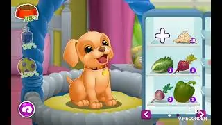 Playing Little live pets game again. :)