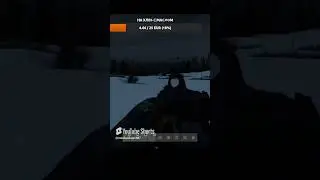 AKM vs WOLF 🐺 #dayz #pc