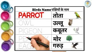 Learn Birds Name for Kids | पक्षियों के नाम | Bird Name Tracing with Colors | Little Mango Kids