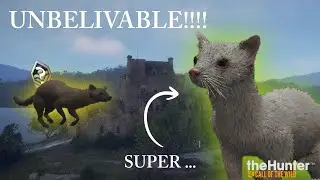 Pine martens HATE ME!!! Heres why-call of the wild