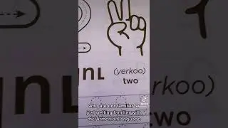 Armenian Number Practice Book
