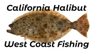 How To Catch Big California Halibut In The Surf - Complete Guide
