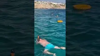 Animation team. Отель Island View Resort 5*. Egypt. Red Sea. Египет. Шарм эль Шейх #animation