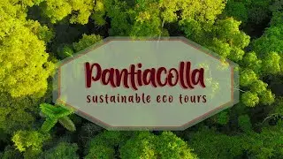 VISIT THE MANU JUNGLE WITH PANTIACOLLA TOURS
