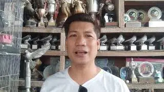 GOING LIGHT O SALMONELA?BASA ANG DUMI NG IBON? ETO MABISANG GAMOT.