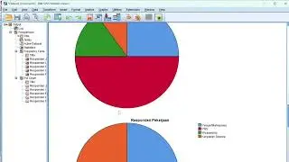 CARA MEMBUAT TABEL KARAKTERISTIK RESPONDEN, CROSSTABULATION, DAN DIAGRAM PADA SPSS
