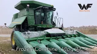 Мы заморозили комбайн! Уборка кукурузы 2019. Видеоблог 21