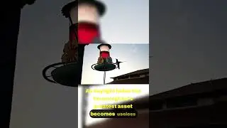 Secrets of Hummingbird Survival in Darkness 🌙