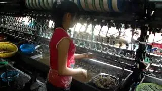 Silk factory in the south central highlands of Vietnam