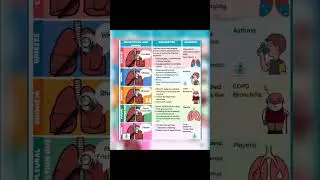 Abnormal Lung sound 🫁🩺//The Nurse's Classroom