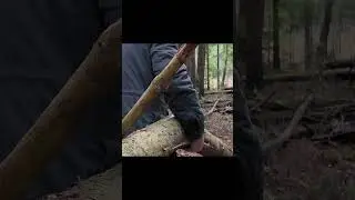 Wilderness Survival &ndash; 48 Hours Living in a Handmade Shelter