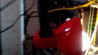 VID 20170425 090838
