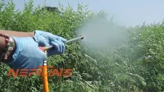 Neptune power sprayer with 4 stroke al engine NF-967