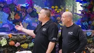 Bellagio Tank Hits the Jackpot