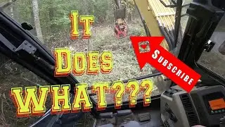 Forestry Mulcher Clearing underbrush