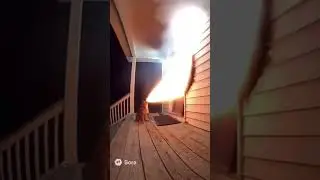 let me in. 💥 #ai #funny #sora #dog #fire
