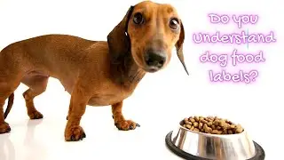Understanding Dog Food Labels