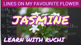 Few lines on my favourite flower Jasmine | Short essay on my favourite flower | Paragraph on flower