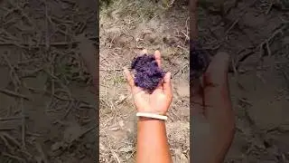 DEU ERRADO😱😮#trending #hand#dirty #shortvideo #viral