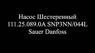 Насос Шестеренный SNP3/44 S SC07 ..._G 111.25.089.0A SNP3NN/044LN07SAP1BBBANNNN/NNNNN