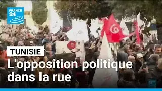 Tunisie : l'opposition politique de nouveau dans la rue &bull; FRANCE 24