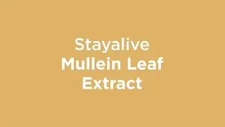 StayAlive Mullein Leaf Extract Capsules &ndash; Product Overview