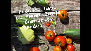American Licorice Sweet Goods Garden Produce Hall
